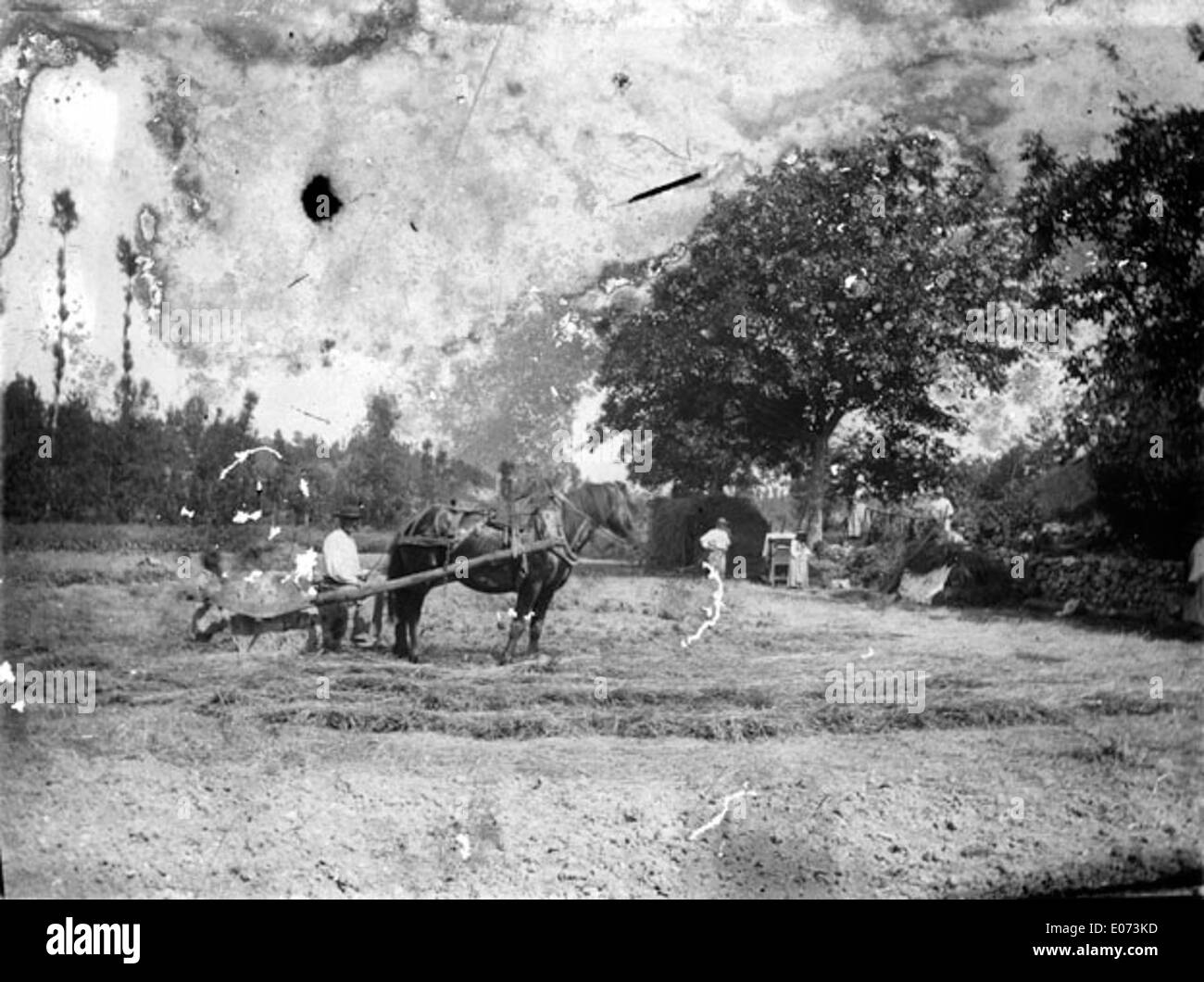 'Les travaux dans les champs: le labour' is a historical depiction of ...