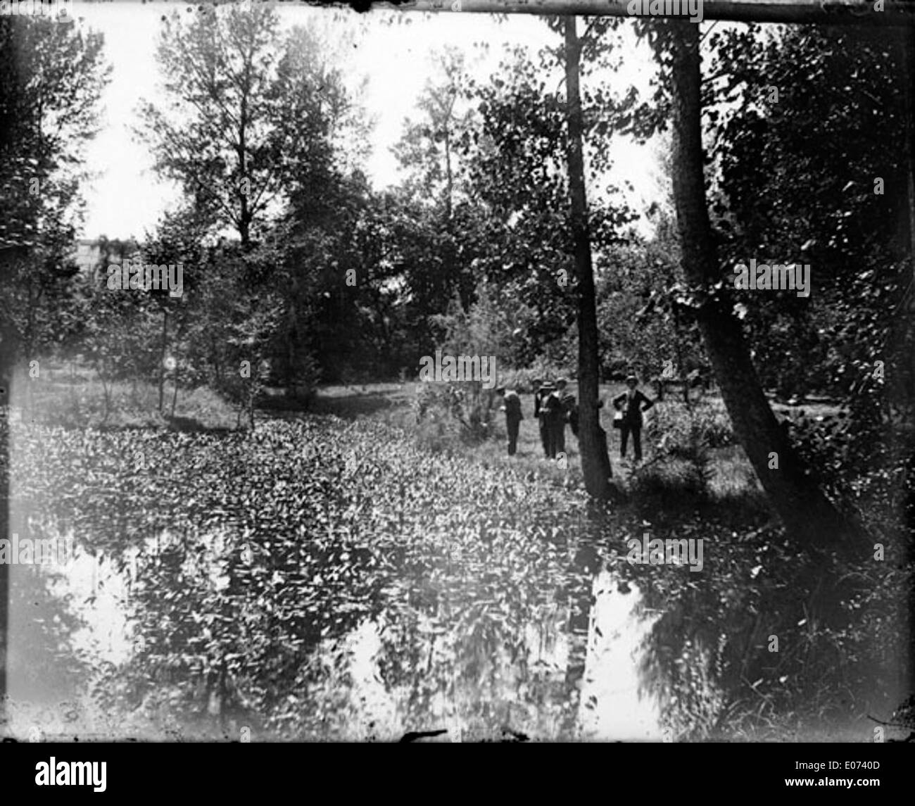 Groupe de gens au bord d'un étang recouvert de feuilles mortes Stock Photo