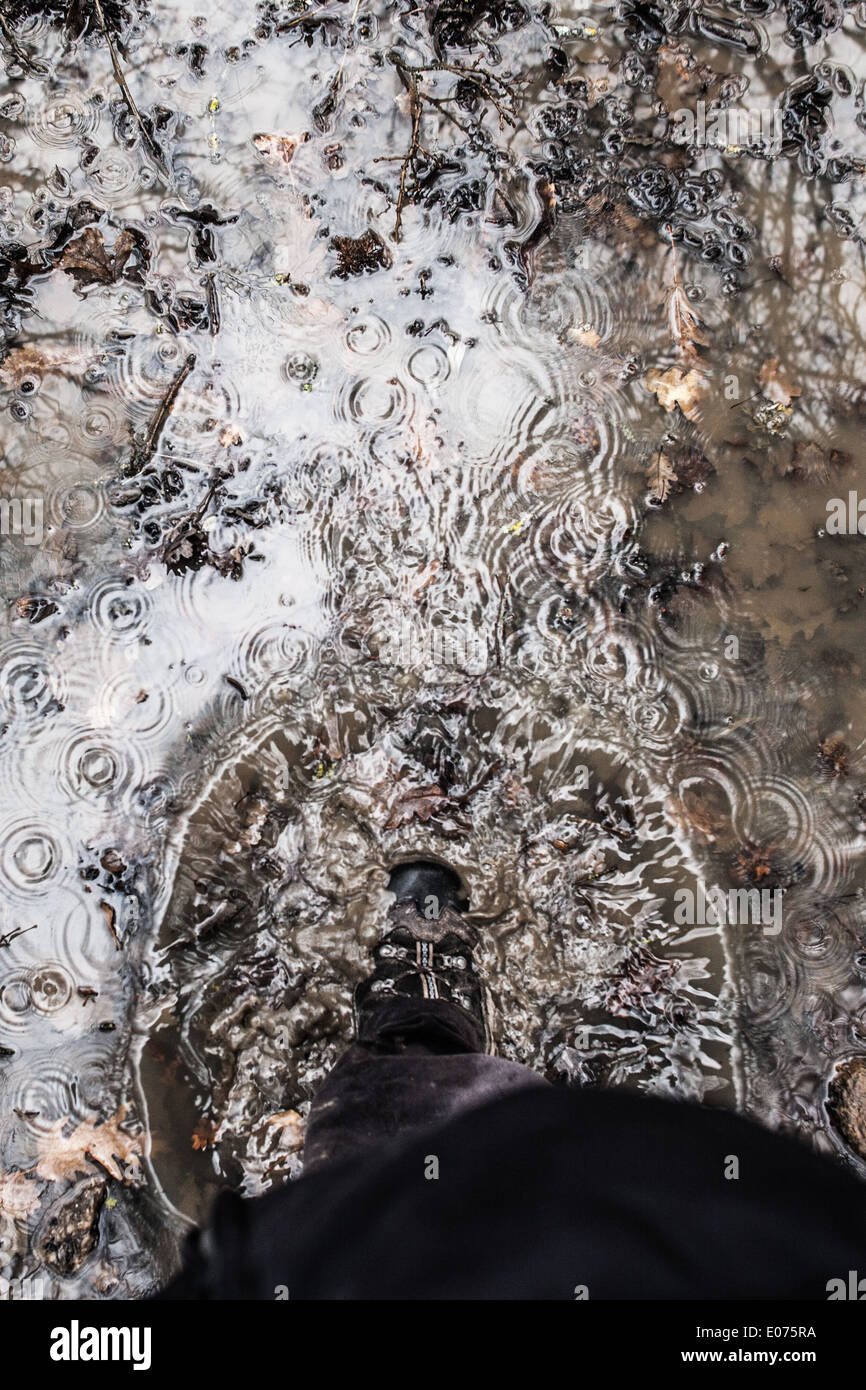Mud puddle in woods hi-res stock photography and images - Alamy