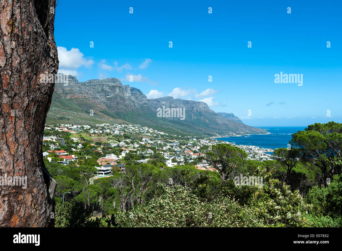 Table Mountain Twelve Apostles and Camps Bay, view from Kloof Road, Cape Town, South Africa Stock Photo