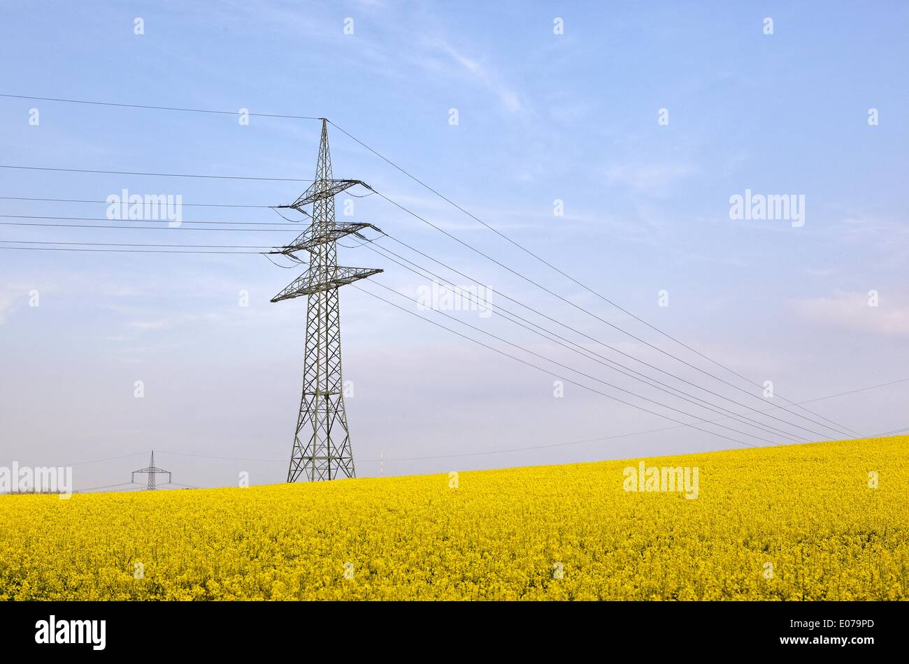 Electricity pylon under blue sky next to a blooming rapeseed field. 29.04.2014 Stock Photo