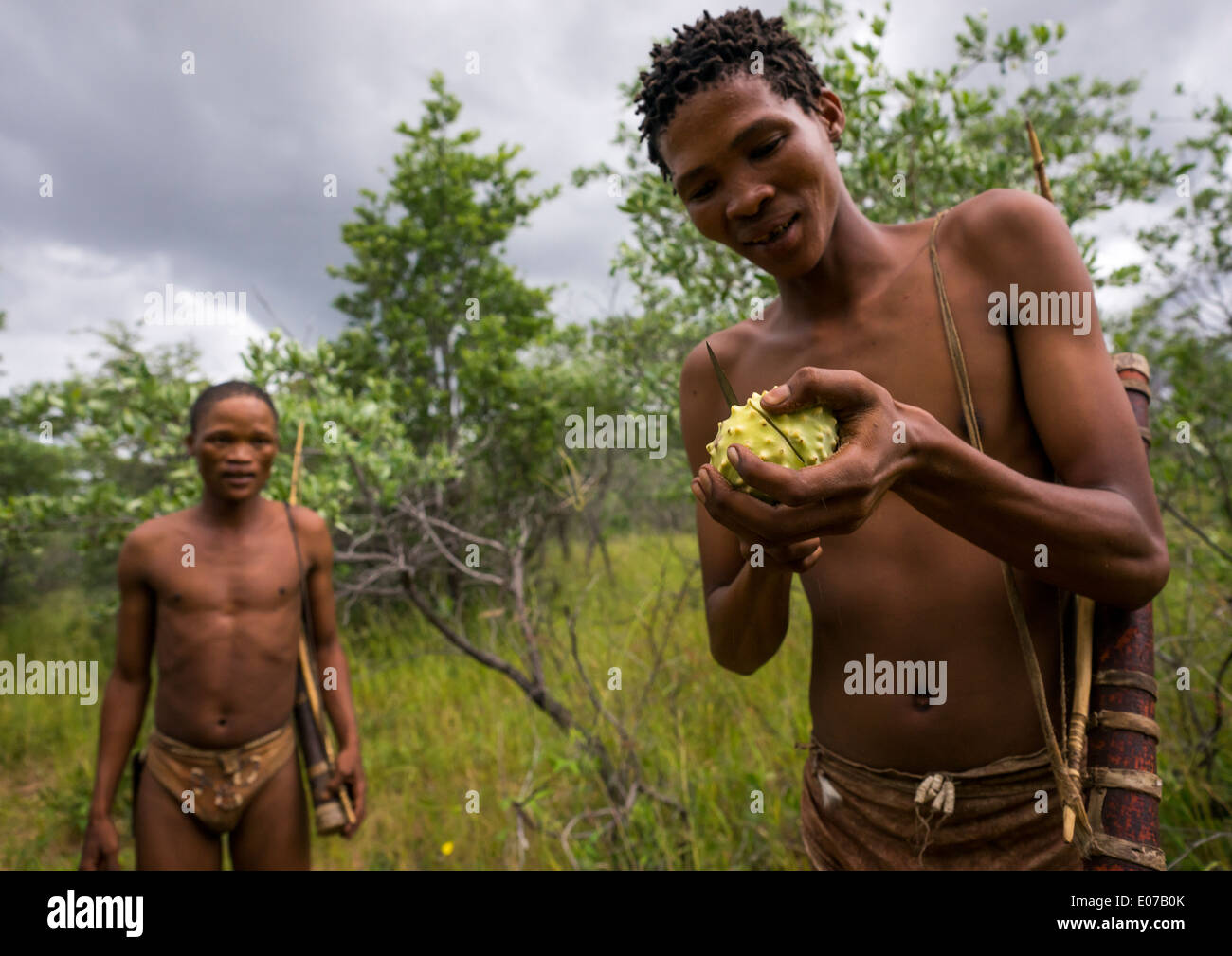 kalahari bushmen food