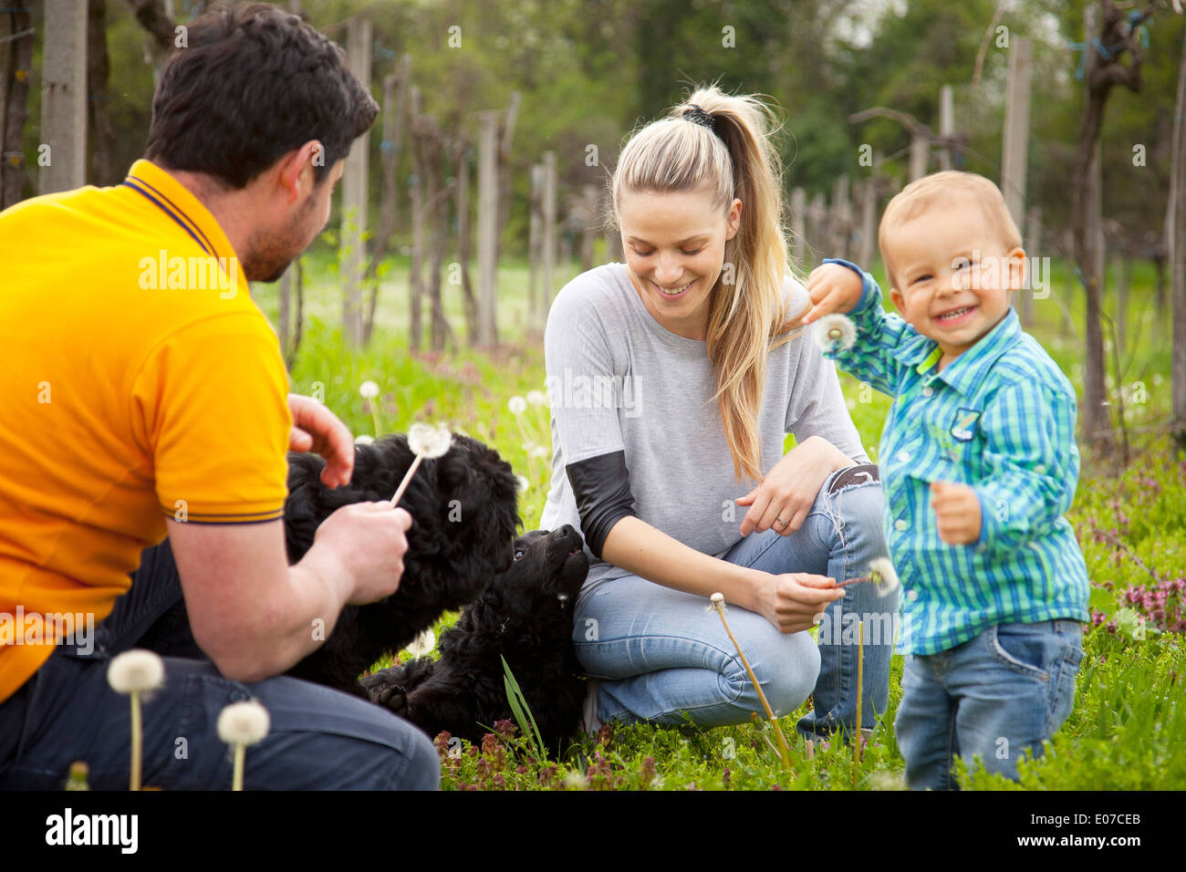 Parents with toddler boy playing in the meadow, Austria Stock Photo