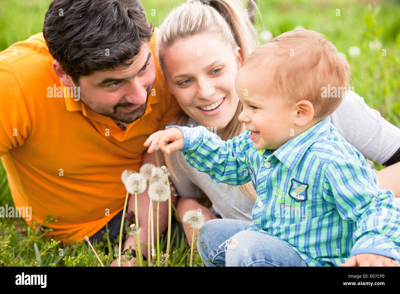Parents with toddler boy playing in the meadow, Austria Stock Photo