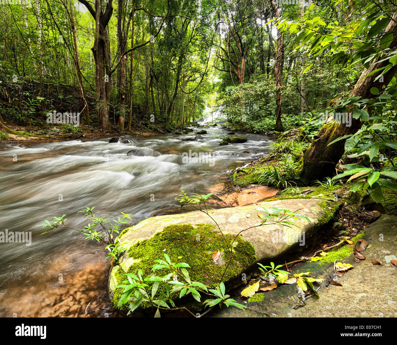 Tropical rainforest landscape with flowing river, rocks and jungle plants. Thailand Stock Photo