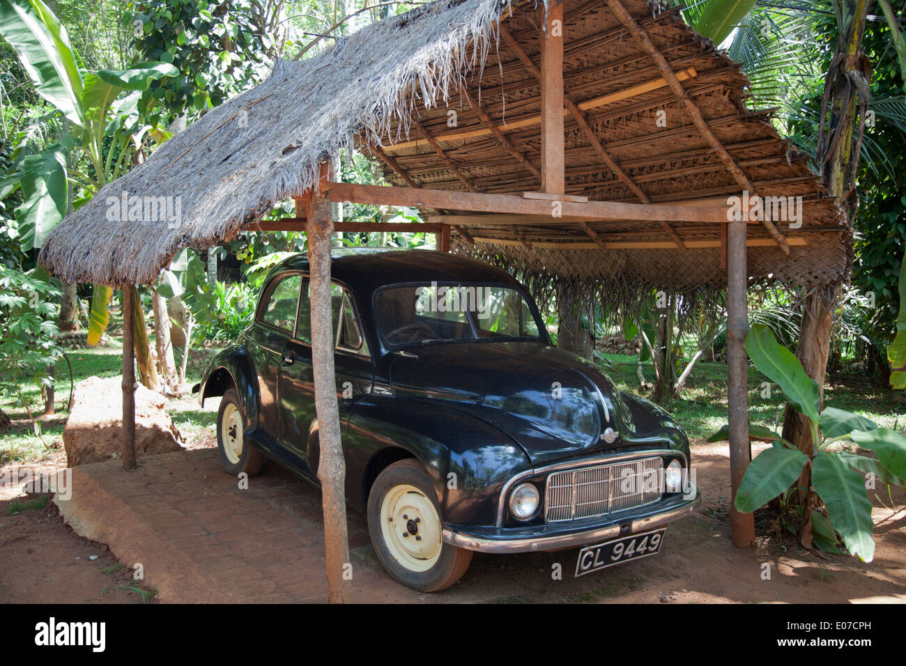 A lovingly preserved antique Morris Minor car in a spice garden at Matale, Sri Lanka 1 Stock