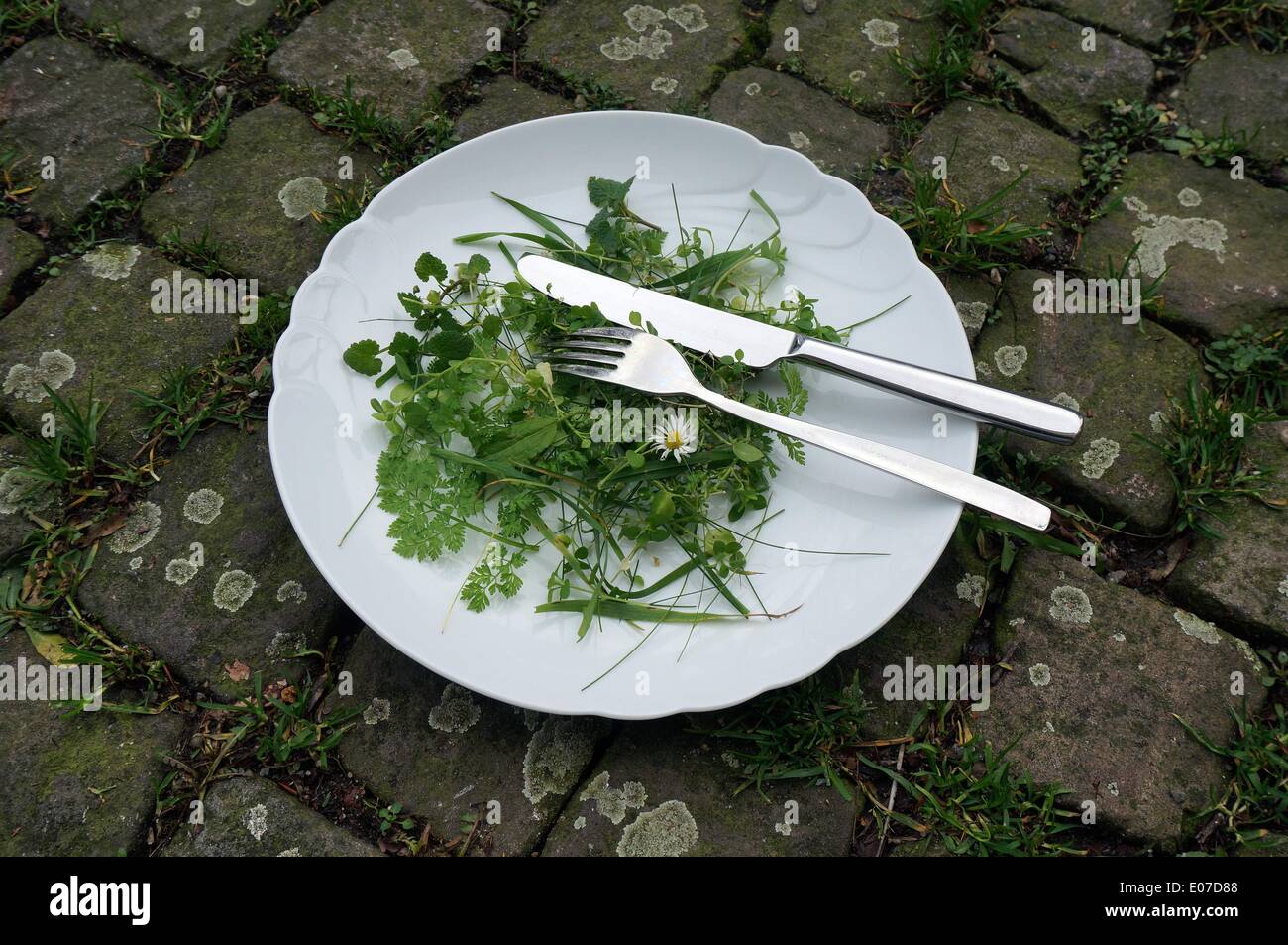 Illustration - Grass and cutlery lies on a white plate, which is palced on cobblestones, 28 December 2013. Fotoarchiv für Zeitgeschichte - NO WIRE SERVICE Stock Photo