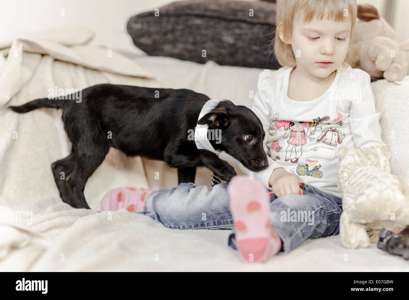 Little girl playing with pet dog and stuffed toy Stock Photo - Alamy