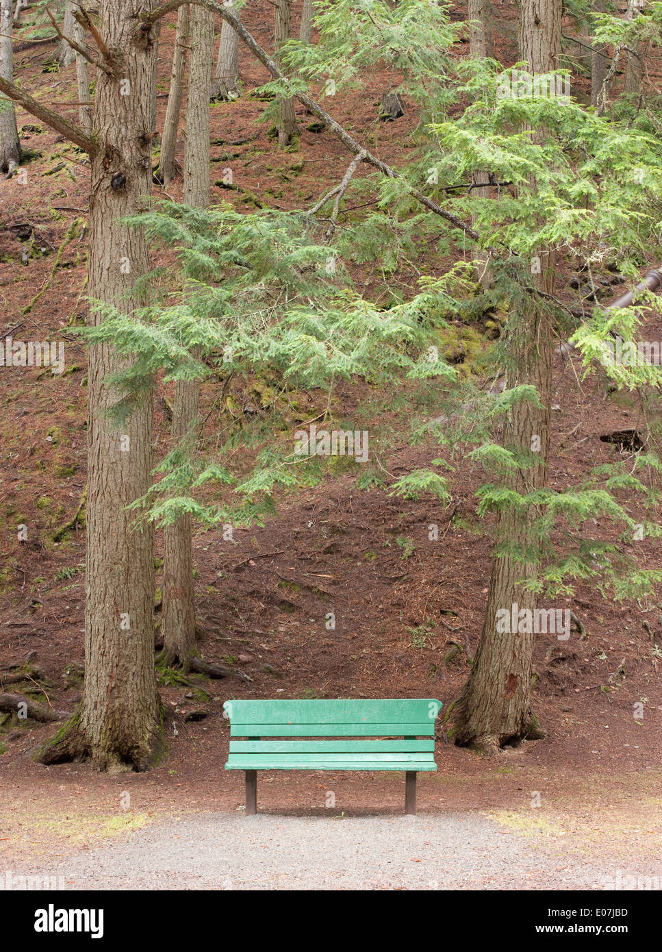 Green park bench in outdoor setting Stock Photo Alamy
