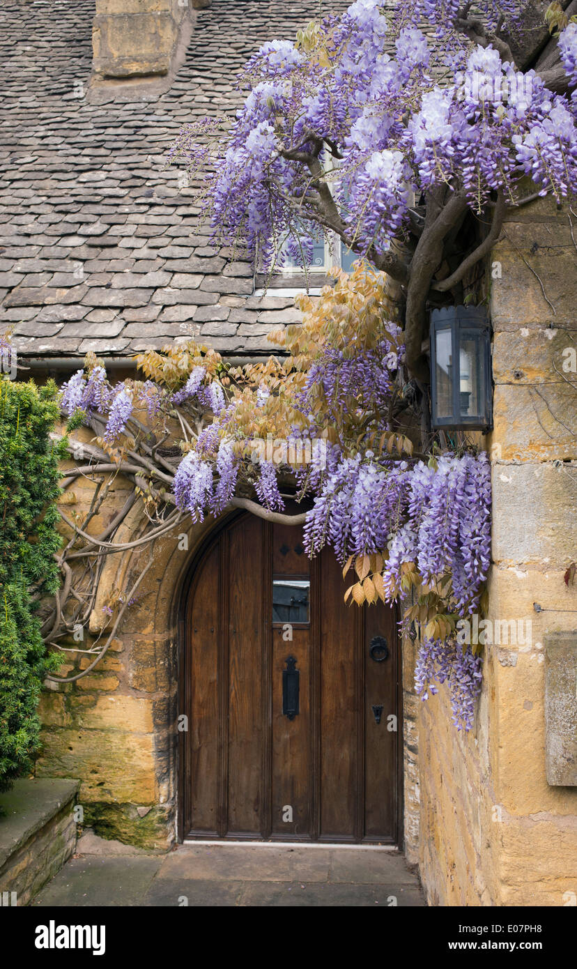 Wisteria on cotswold stone house hi-res stock photography and images ...