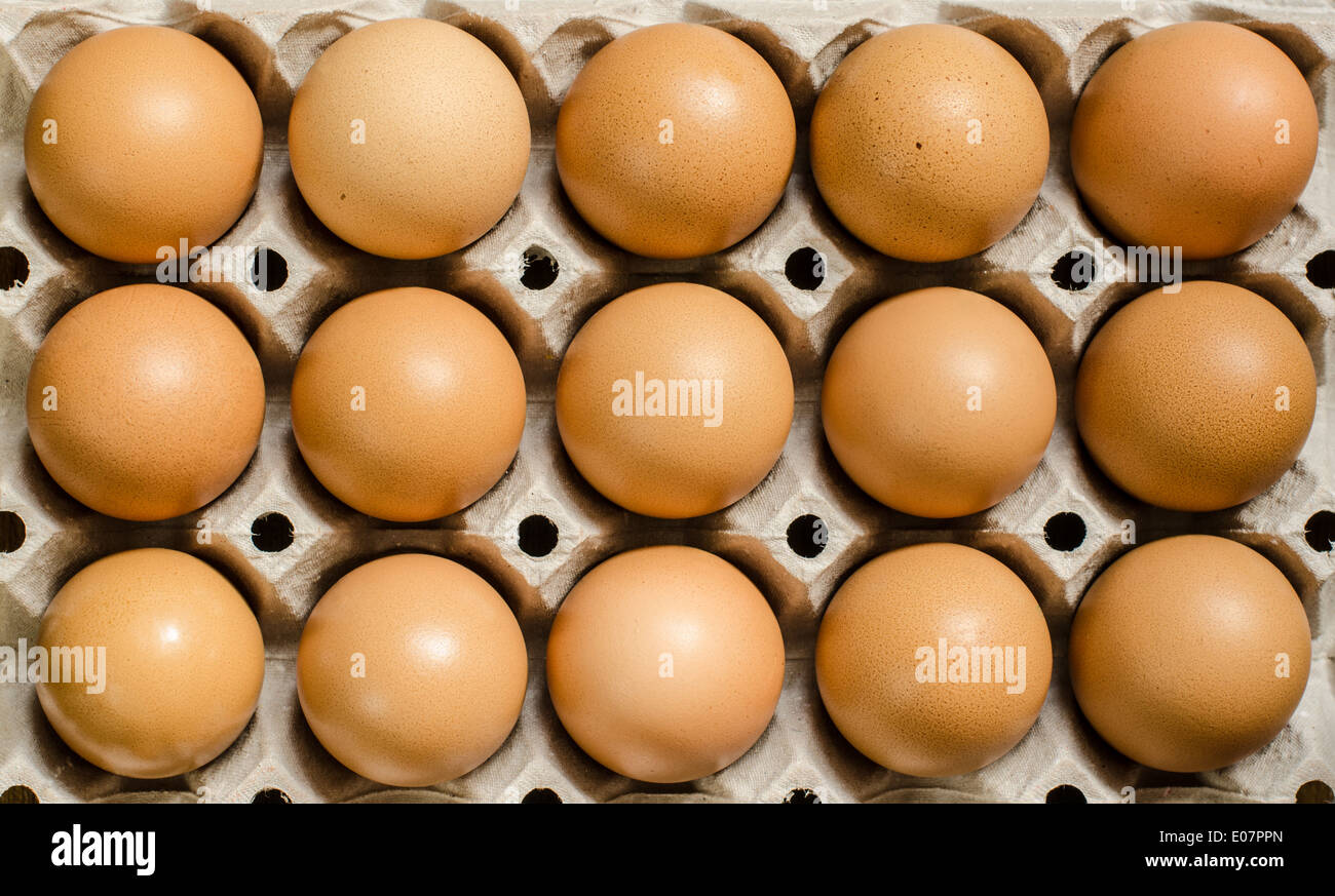 Fifteen brown eggs in a carton Stock Photo