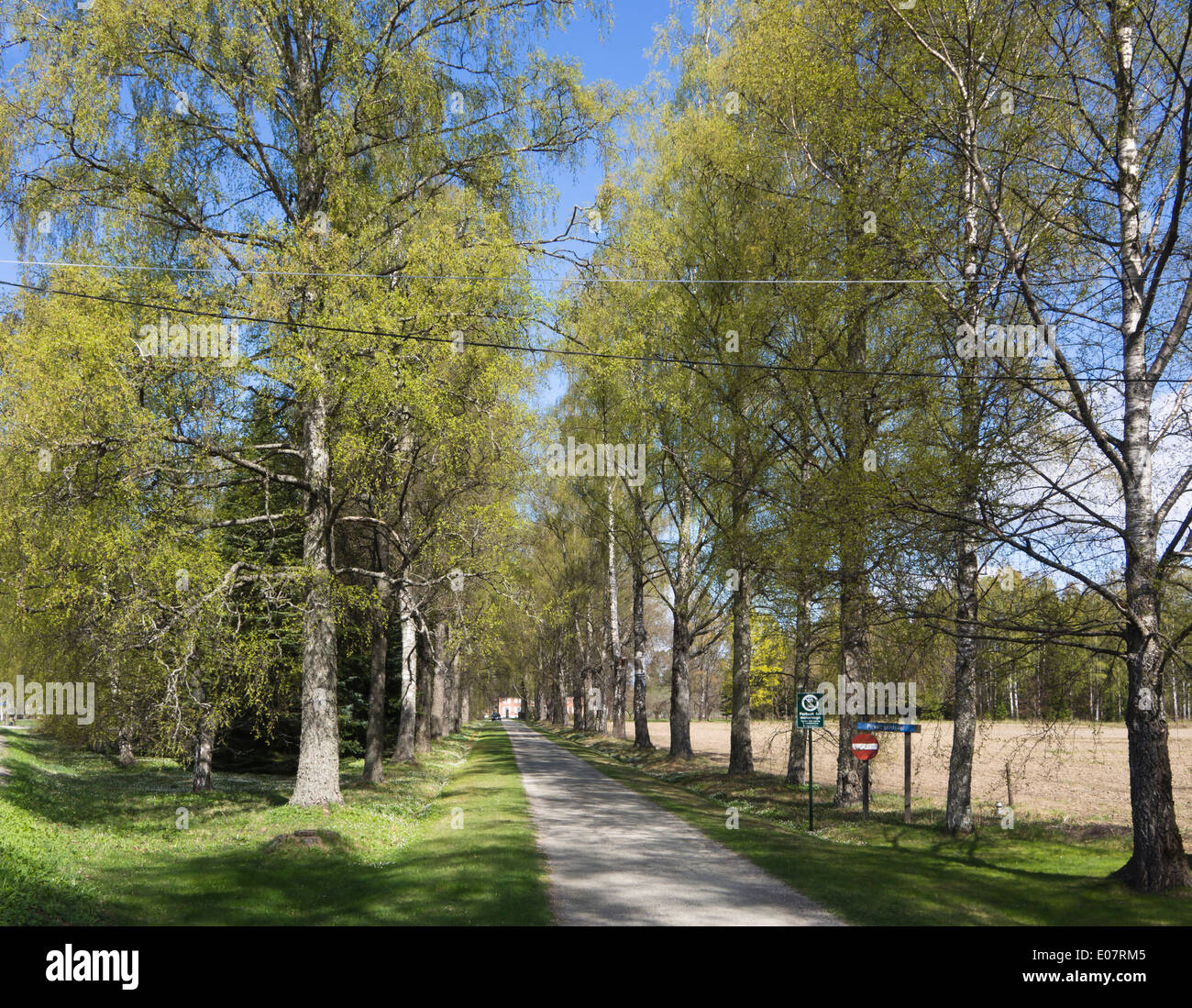 Birch house hires stock photography and images Alamy