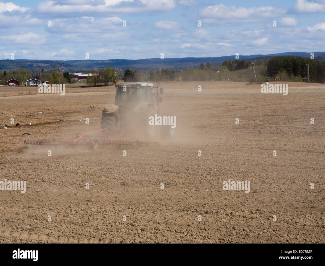 Eidsvoll Akershus Norway, farmer on his tractor harrowing his field in early springtime, crows and gulls looking for food Stock Photo