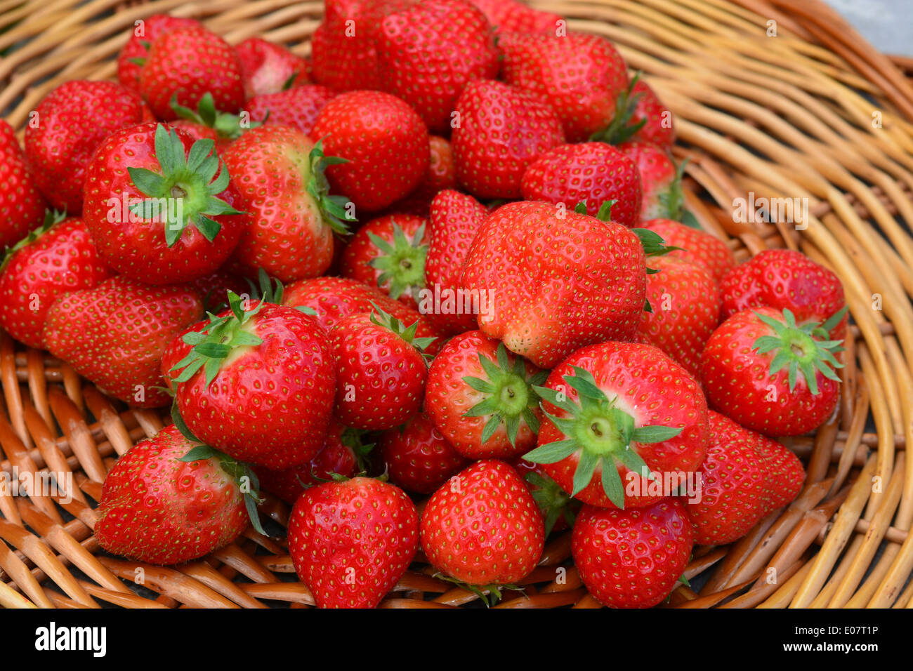 Fresh picked red strawberries Stock Photo
