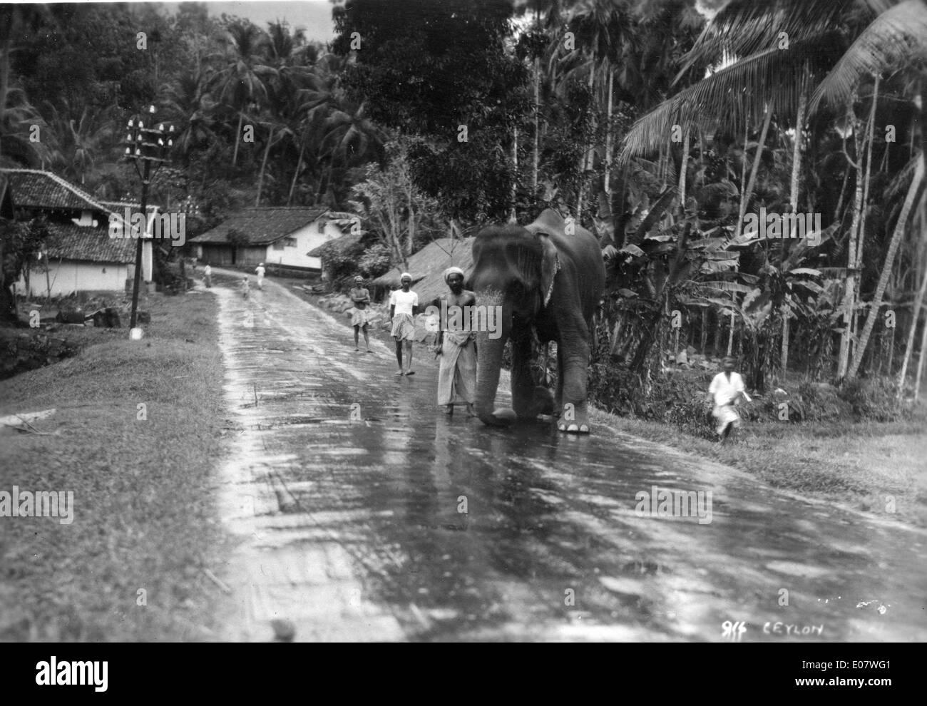 1930s ceylon Black and White Stock Photos & Images - Alamy