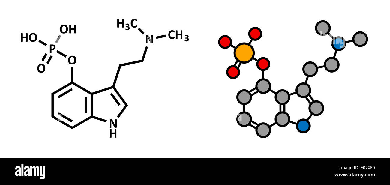 Psilocybin mushroom psychedelic drug molecule. Present in psilocybe and other mushrooms. Stock Photo