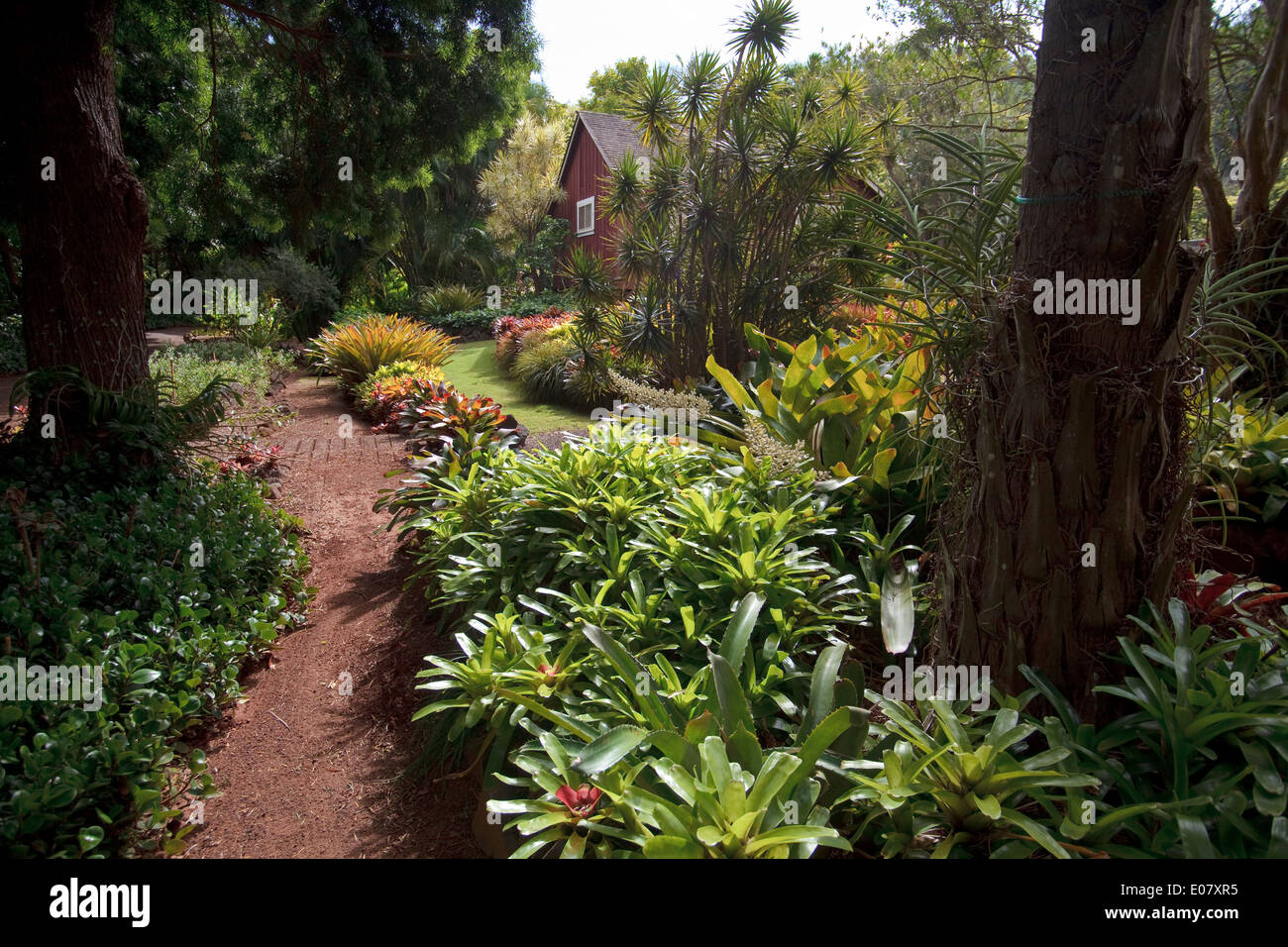 Allerton Gardens Kauai Hawaii Stock Photo 69016169 Alamy