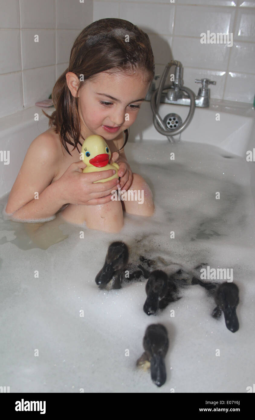 Girl and her real pet Cayuga ducklings having a bath and swimming in the bath, bath time, UK Stock Photo