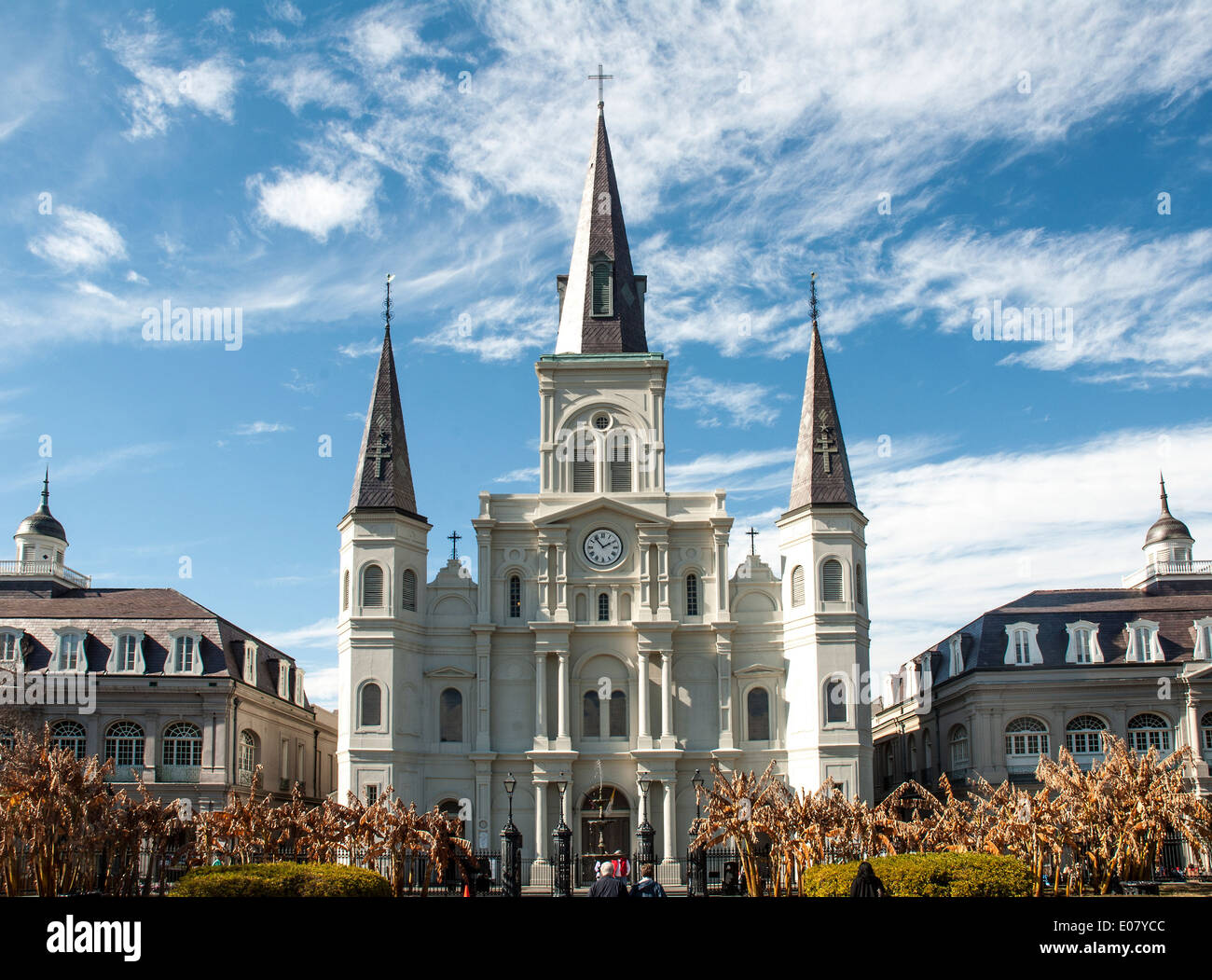 St louis cathedral new orleans hi-res stock photography and images - Alamy