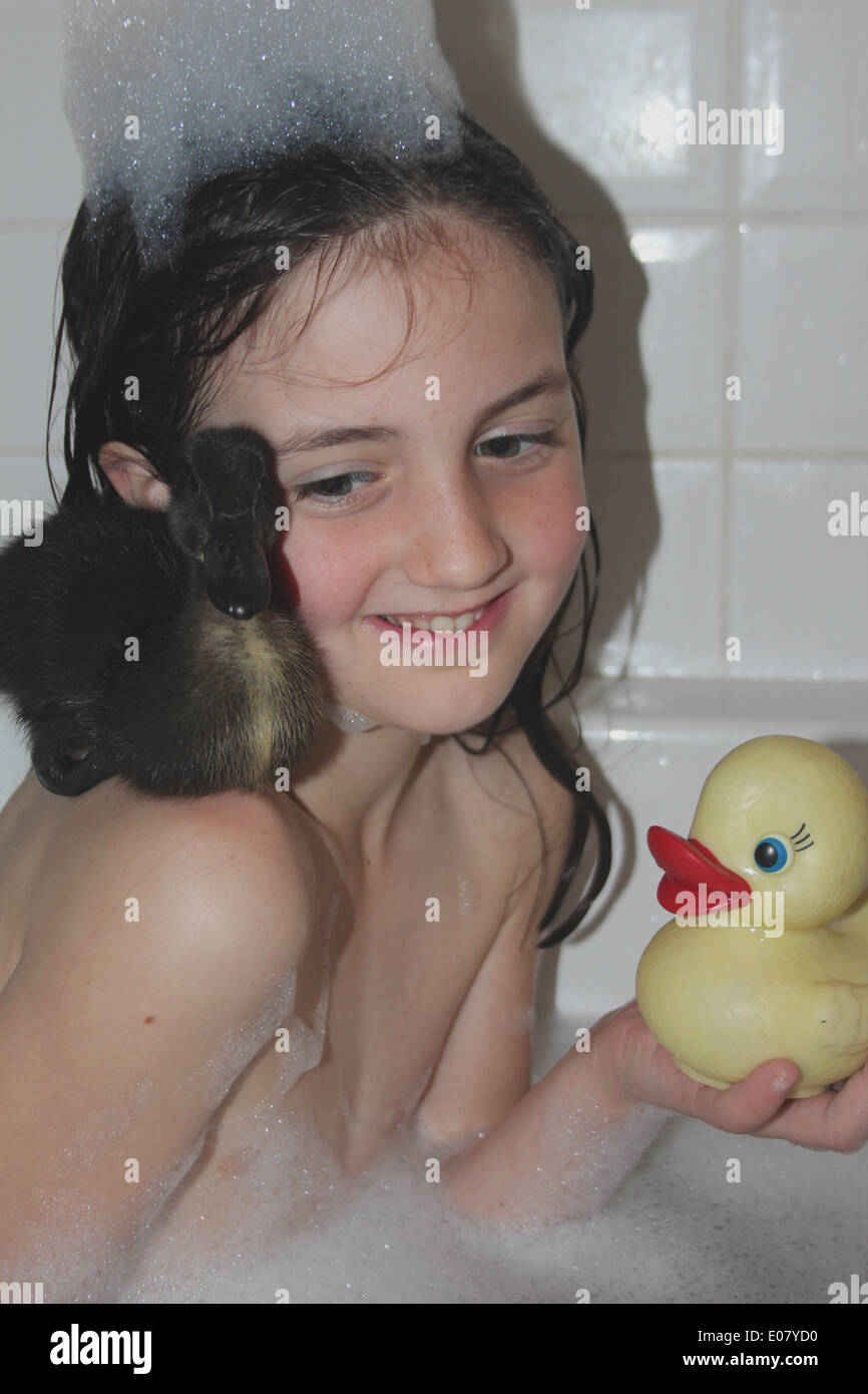 Girl and her real pet Cayuga duckling having a bath, duckling sitting on girls shoulder, bath time, UK Stock Photo