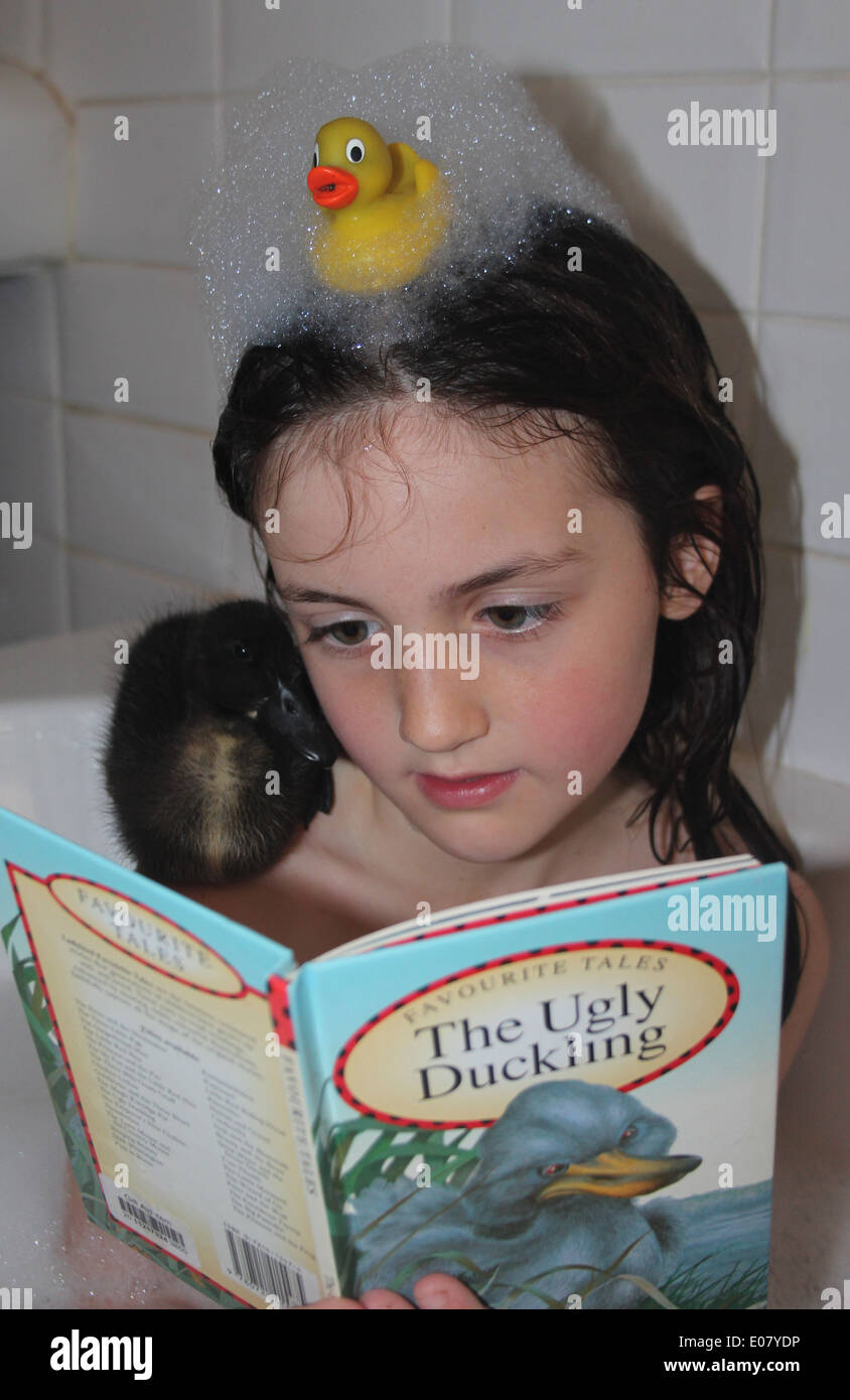 Young girl in the bath reading the ugly duckling story  to her real pet duckling who is sitting on her shoulder, bath time, UK Stock Photo