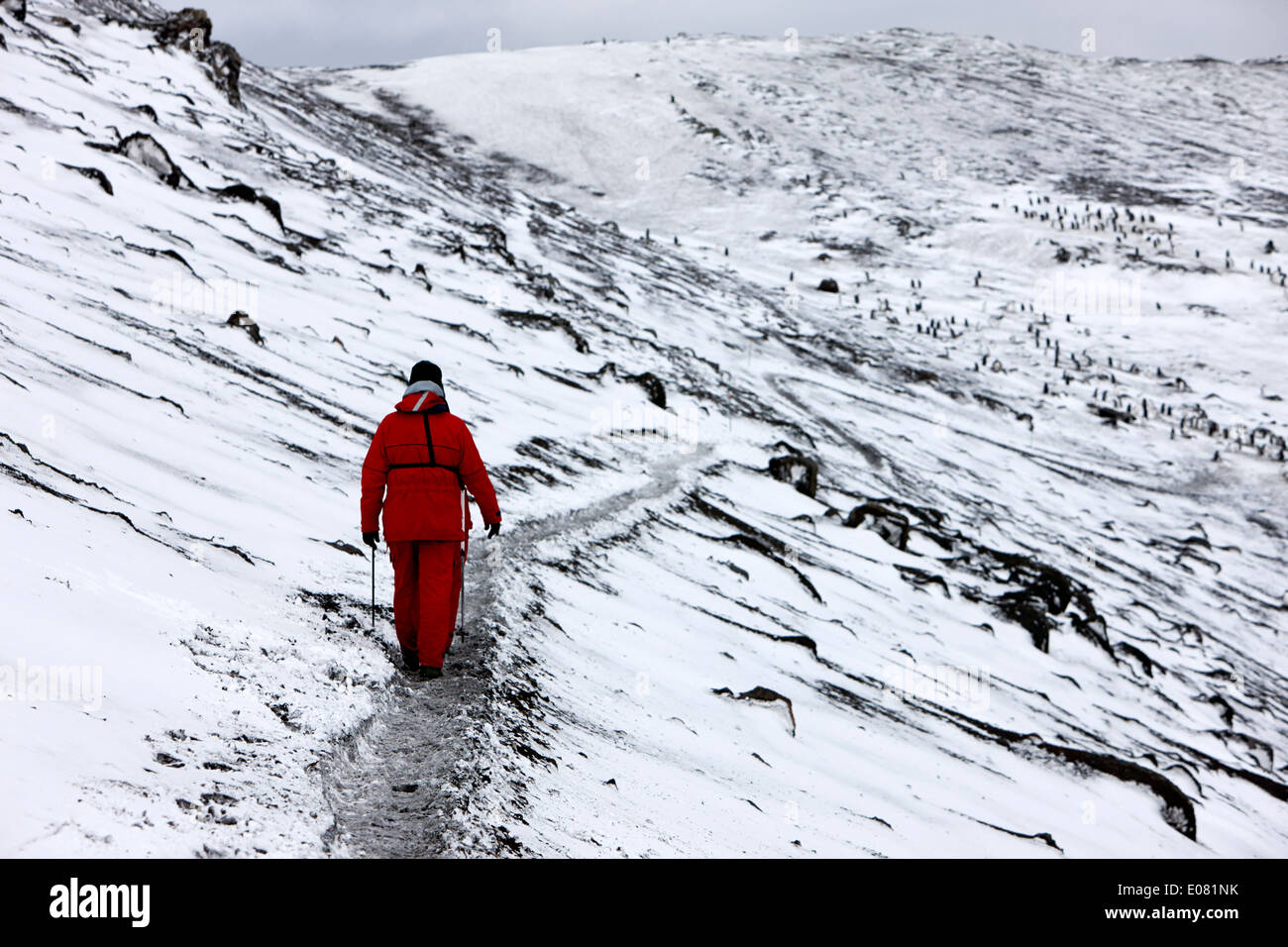 two tourists walking along ridge at hannah point penguin colony Antarctica Stock Photo