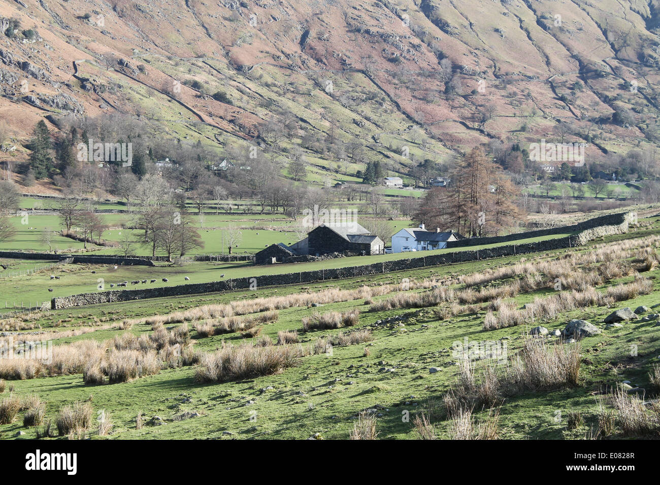 Side House Farm nestles at the bottom of the Langdale Valley beneath steep, dry stone walled glaciated valley sides Stock Photo