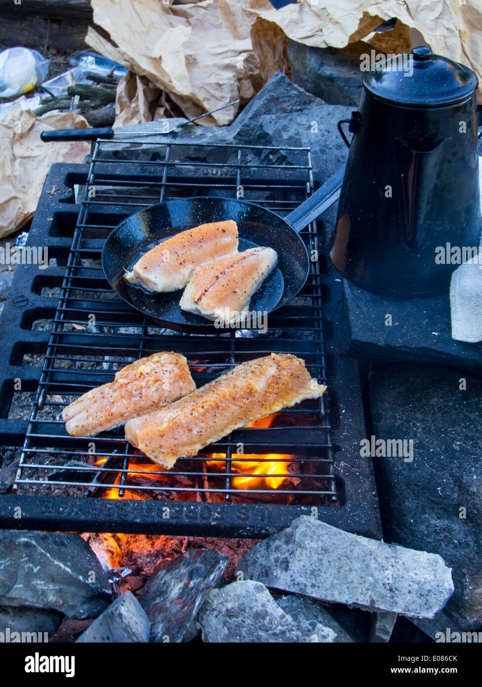 Grilling lake trout Stock Photo
