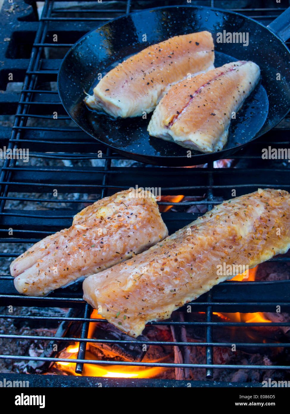 Grilling lake trout Stock Photo