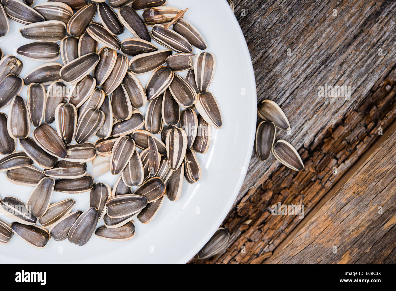 Sunflower seeds in sunflower hi-res stock photography and images - Alamy