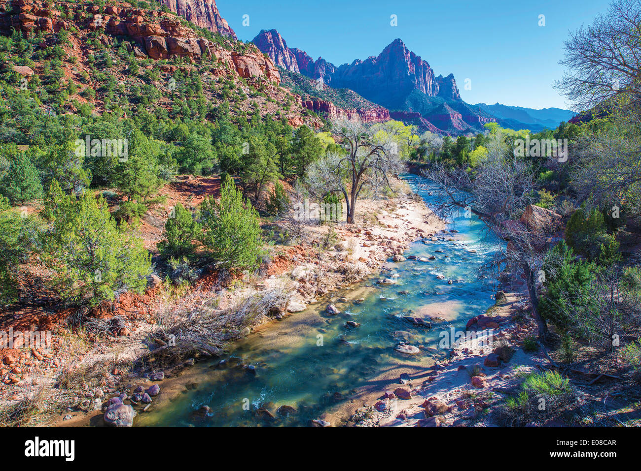 Spring in Zion National Park. Virgin River. Utah, United States Stock