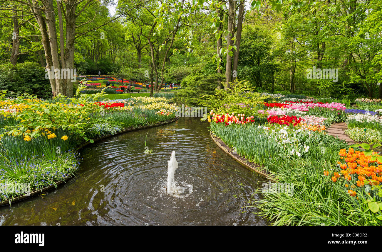 KEUKENHOF TULIP GARDENS IN SPRINGTIME WITH A SMALL FOUNTAIN AND