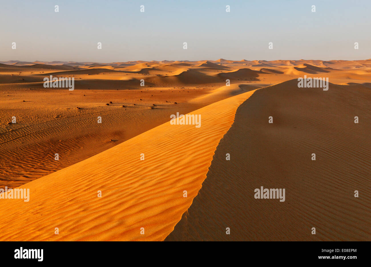 Sand dune landscape in Arabian desert. Stock Photo