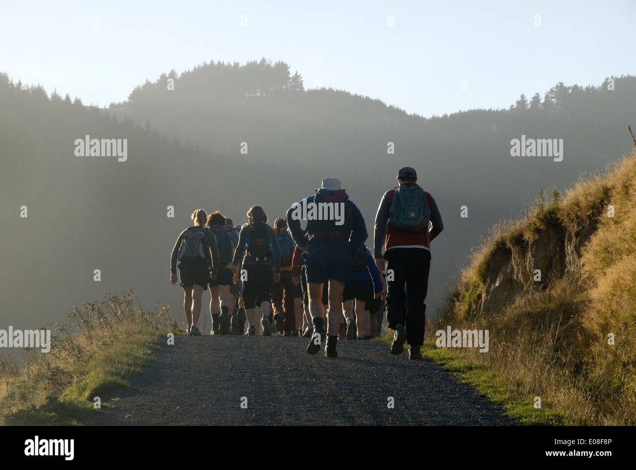 Walkers in Battle Hill Regional Park, Porirua, Wellington, North Island, New Zealand Stock Photo