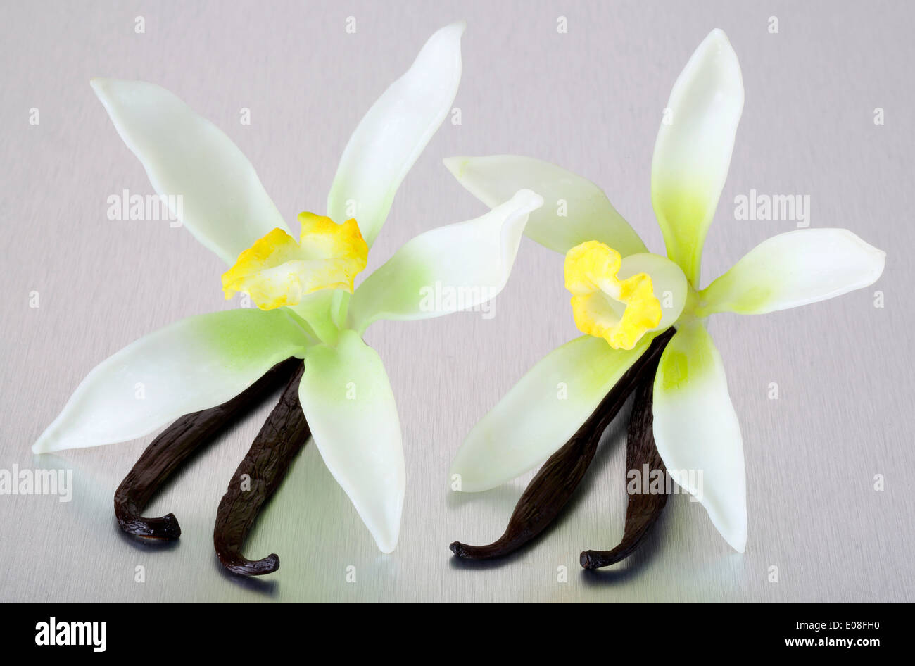 VANILLA FLOWERS AND PODS Stock Photo Alamy