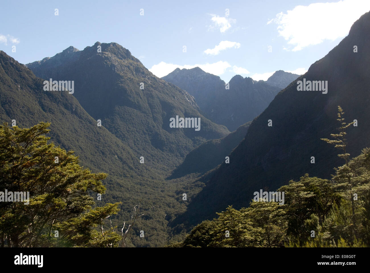 Glaciated valley, Fiordland National Park, South Island, New Zealand Stock Photo