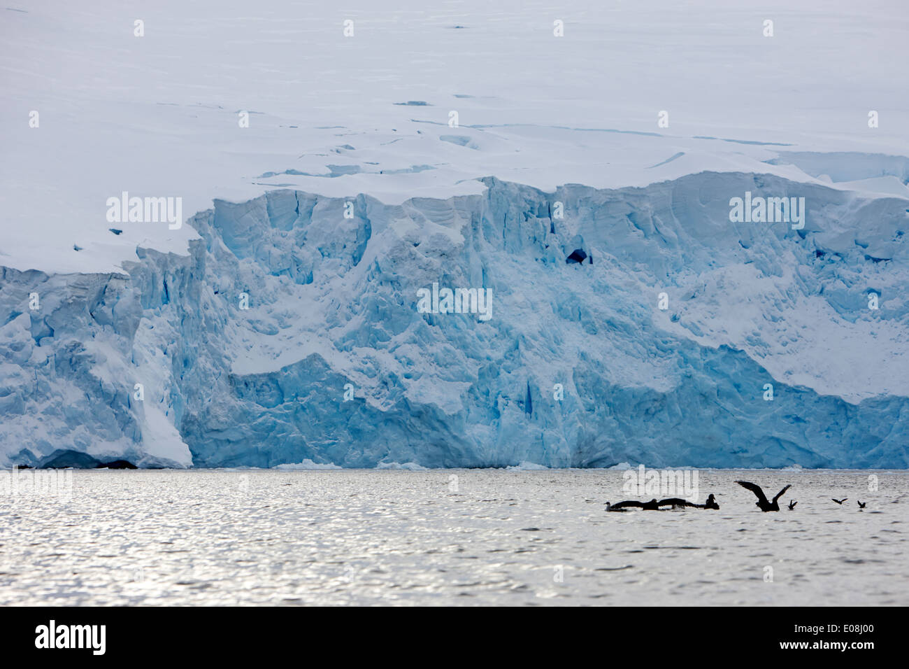 glacier wall face port lockroy Antarctica Stock Photo