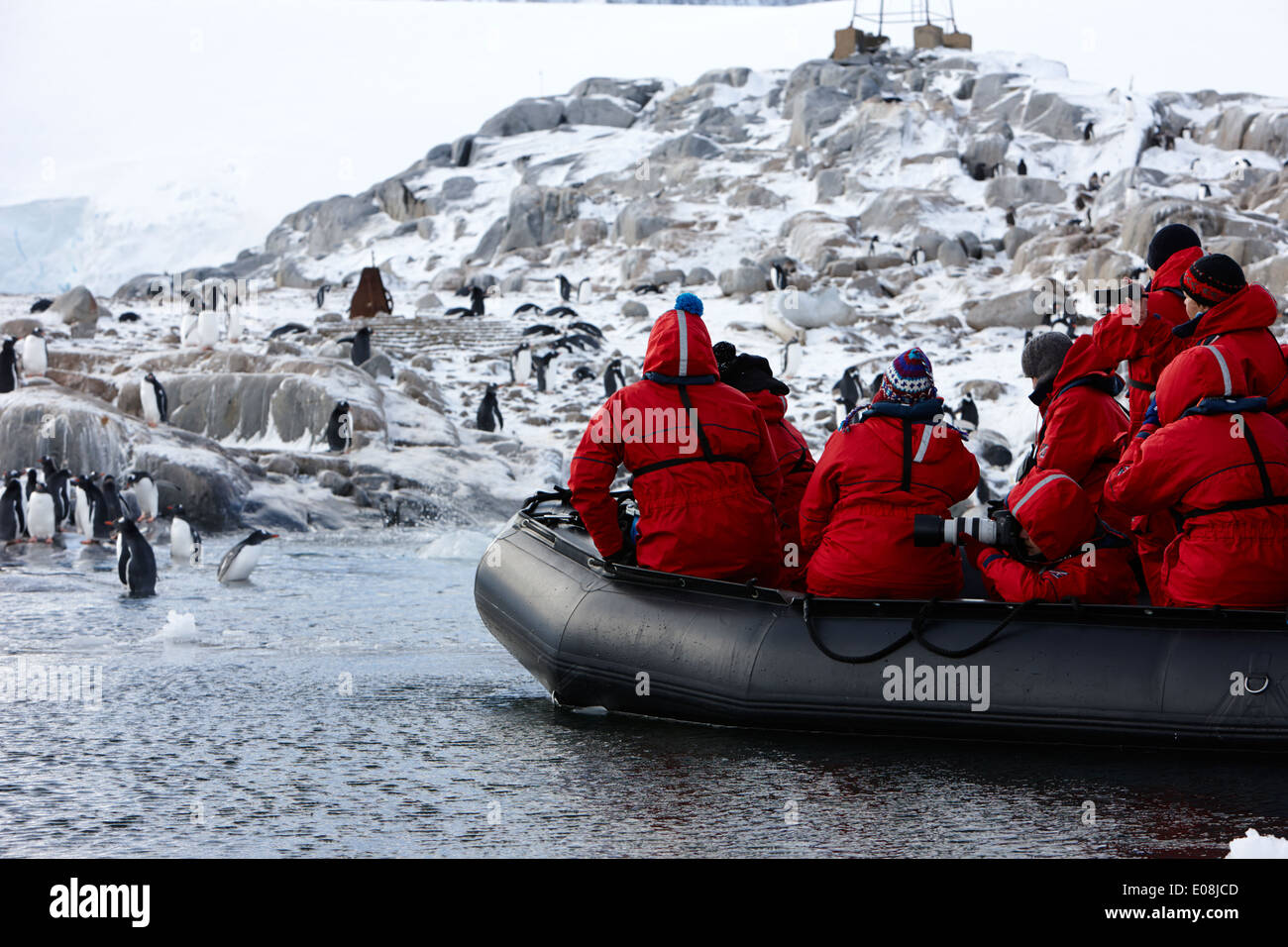tourists on zodiac excursion near gentoo penguin colony port lockroy antarctica Stock Photo