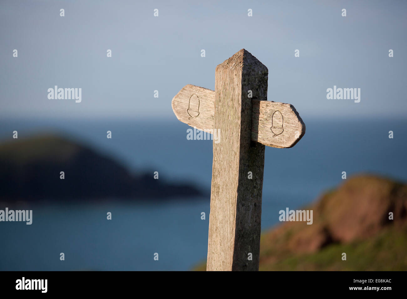 Wooden national trust footpath sign on coast path in Pembrokeshire Wales. Stock Photo