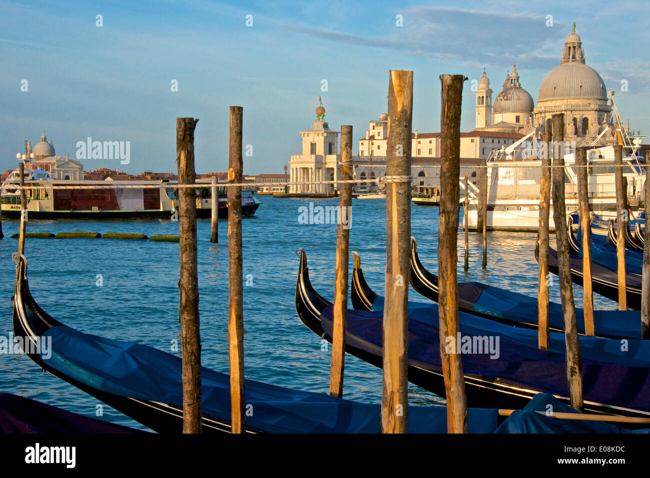 Gondolas at moorings, with Santa Maria della Salute church in the background, Venice, UNESCO World Heritage Site, Veneto, Italy, Europe Stock Photo