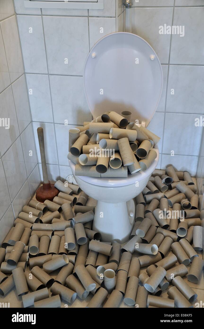 Illustration - Paperboard toilet paper rolls lie in and around a toilet in Germany, 04 May 2013. Photo: Berliner Verlag/Steinach - NO WIRE SERVICE Stock Photo