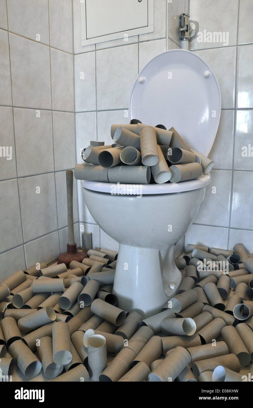 Illustration - Paperboard toilet paper rolls lie in and around a toilet in Germany, 04 May 2013. Photo: Berliner Verlag/Steinach - NO WIRE SERVICE Stock Photo
