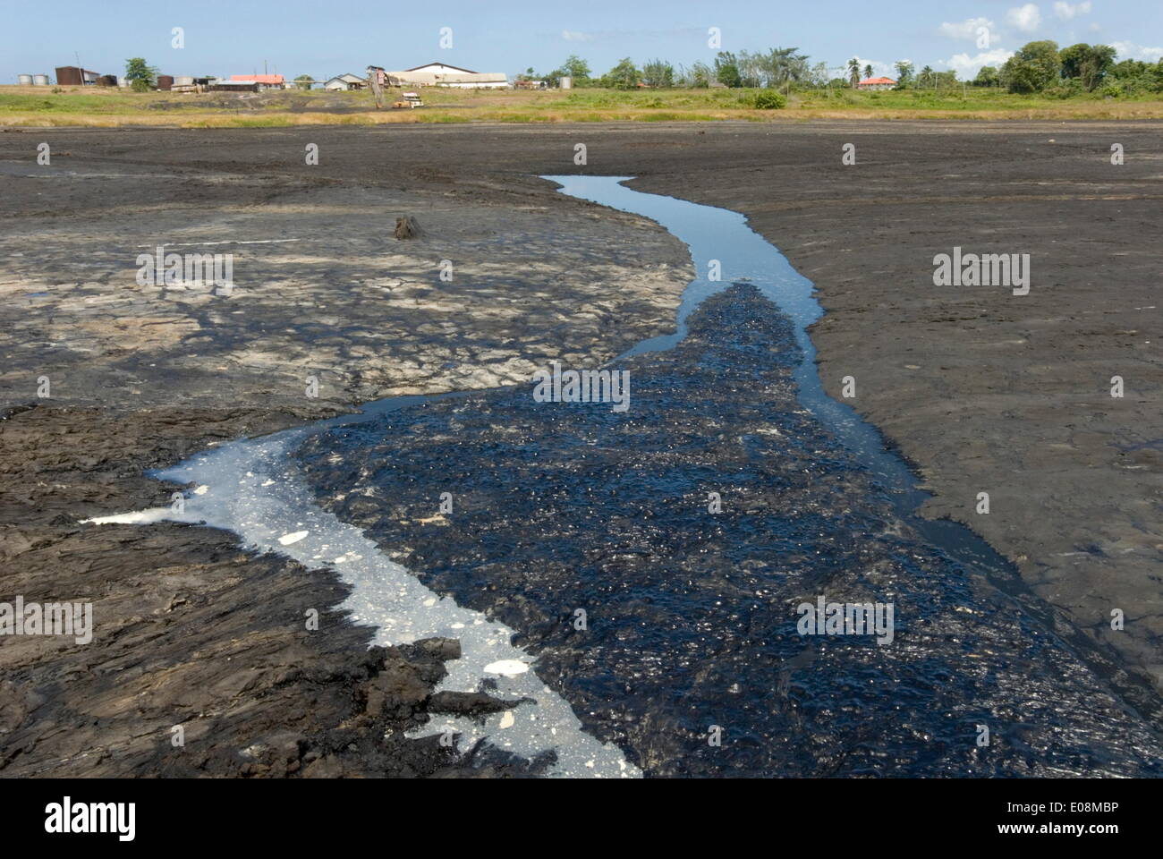 La Brea Pitch Lake, natural lake of tar rising from below with crust that can be walked on, near San Fernando, Trinidad, West Indies, Caribbean, Central America Stock Photo