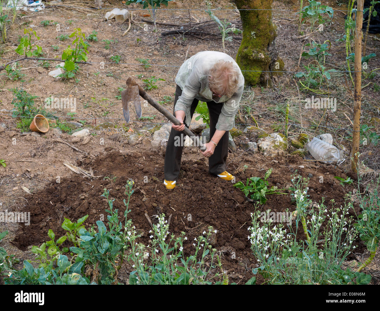Female farmer with fork hoe Stock Photo