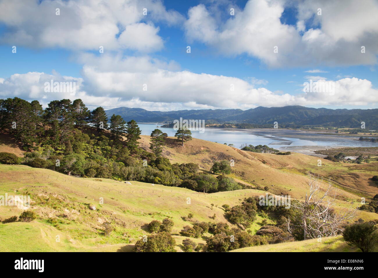 View of Manaia Harbour and farmland, Coromandel Peninsula, Waikato