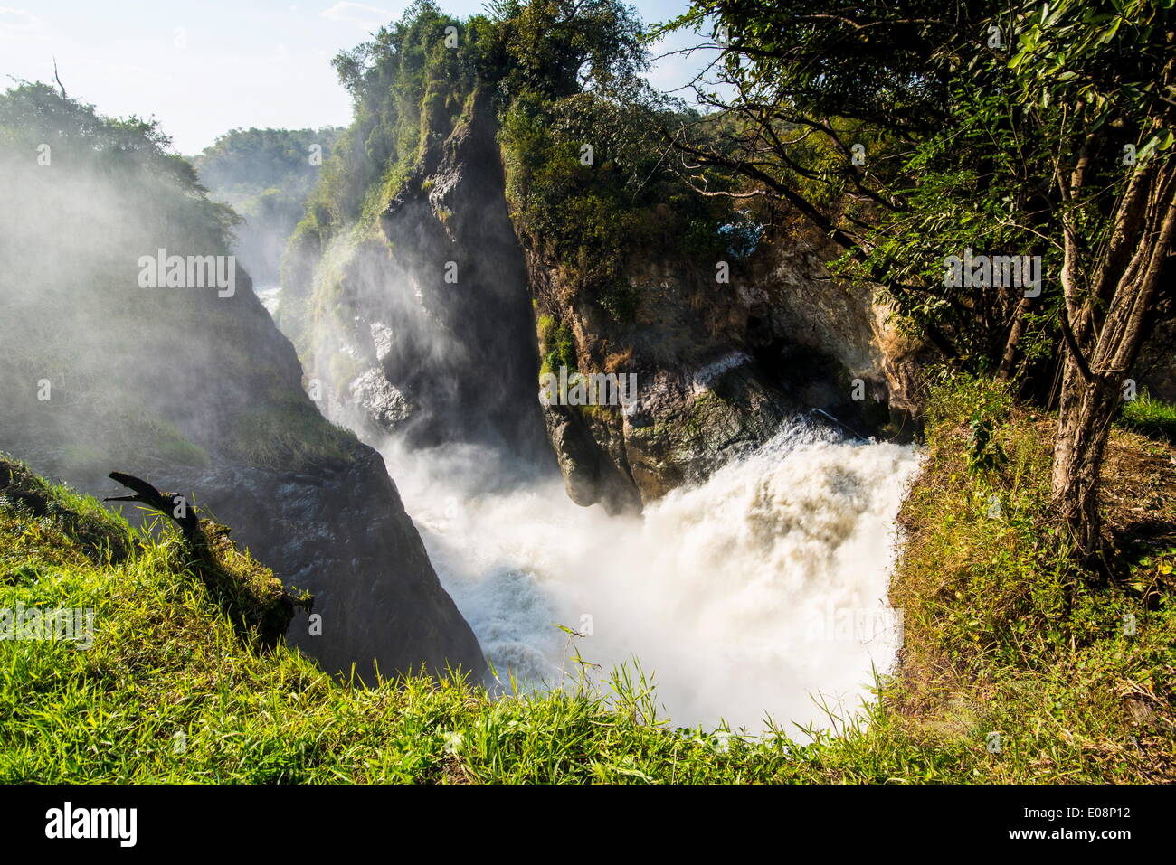 Murchison Falls (Kabarega Falls) on the Nile, Murchison Falls National Park, Uganda, East Africa, Africa Stock Photo