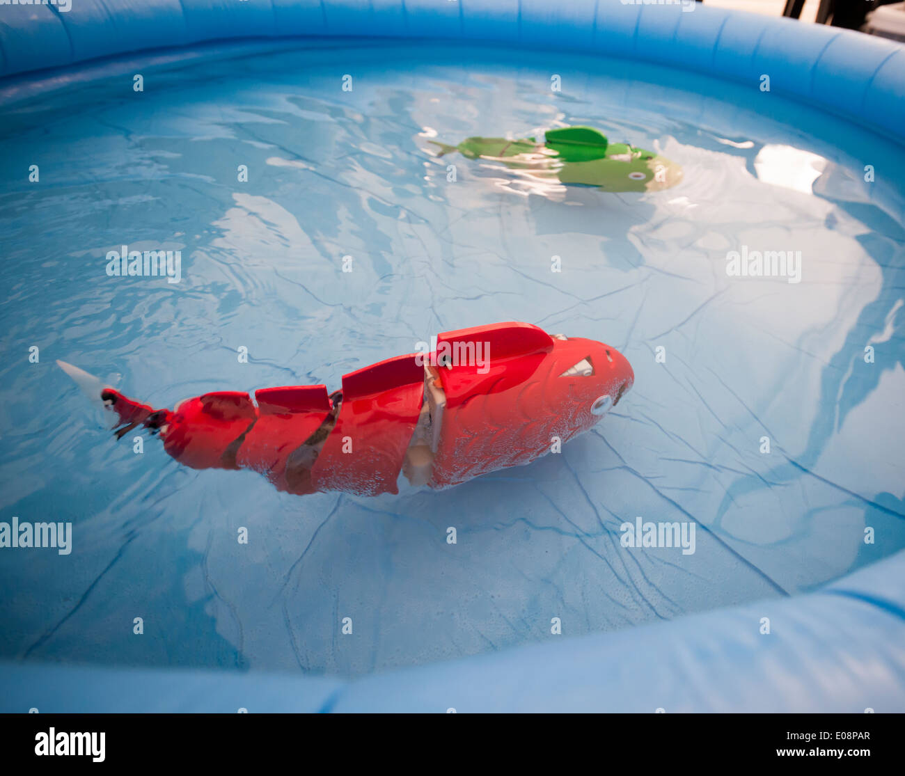 robotic fish for pool