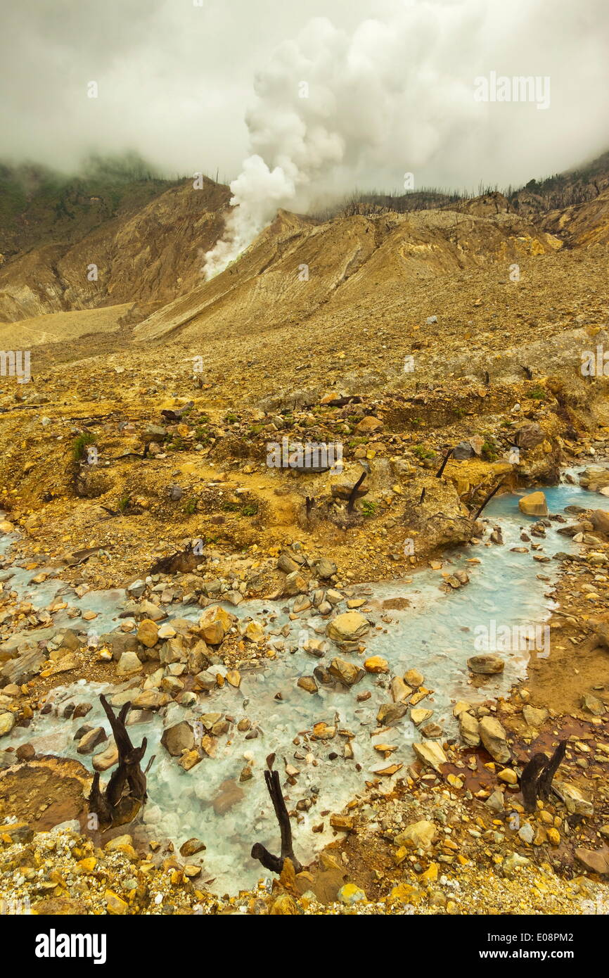 Fumaroles on collapsed side of Papandayan Volcano, an active four