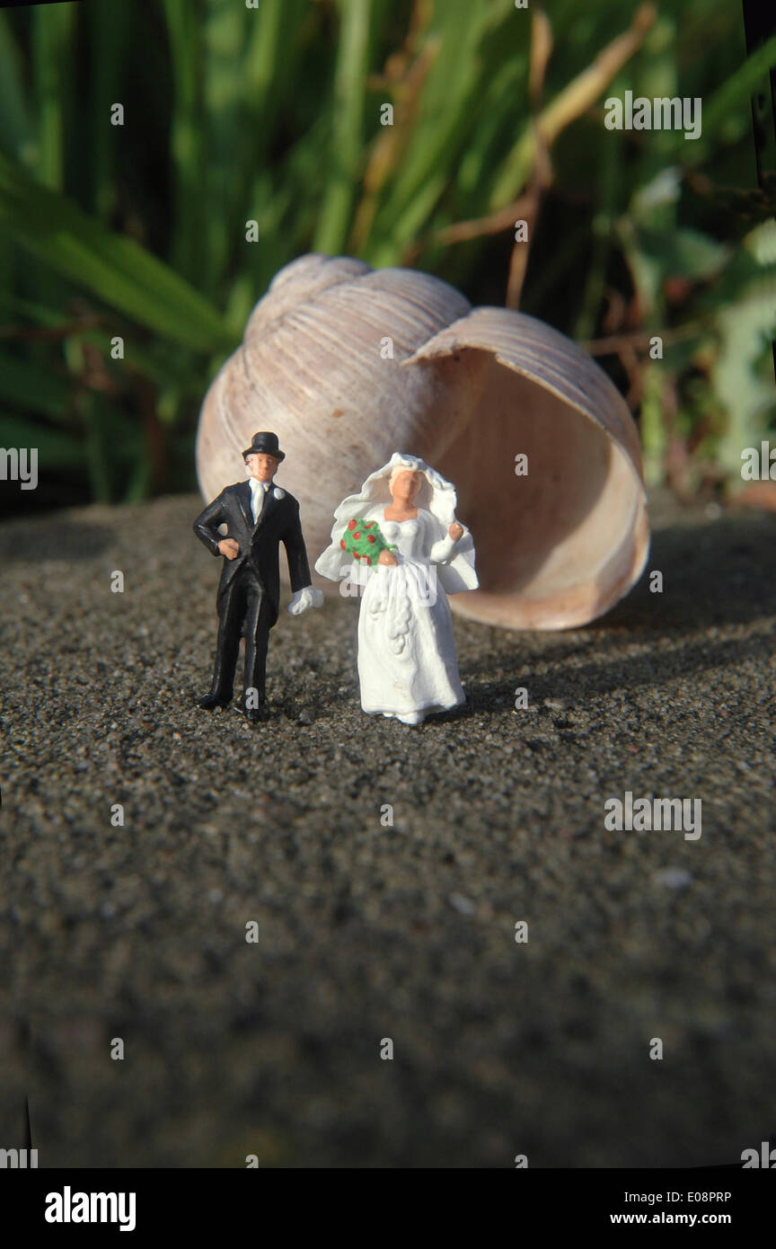 Shell Married Illustration - an illustrated picture shows a freshly married midget ...