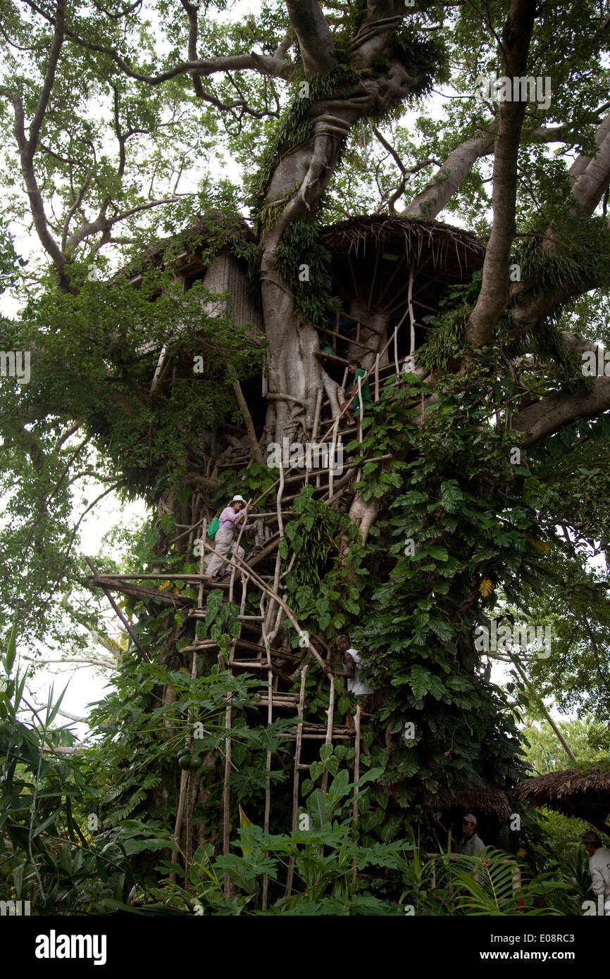 Tree house, Tanna Island, Vanuatu, South Pacific Stock Photo - Alamy
